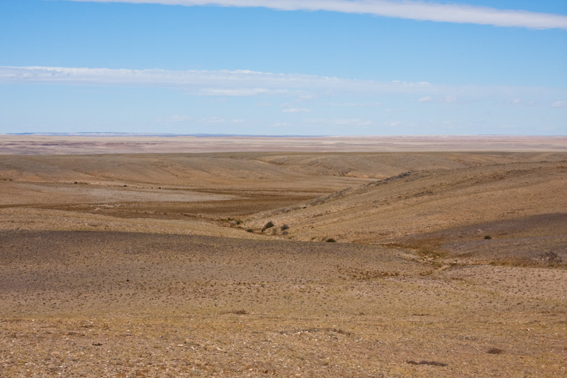 The Steppe